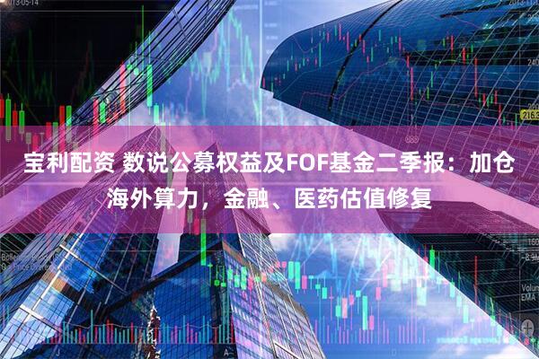 宝利配资 数说公募权益及FOF基金二季报：加仓海外算力，金融、医药估值修复