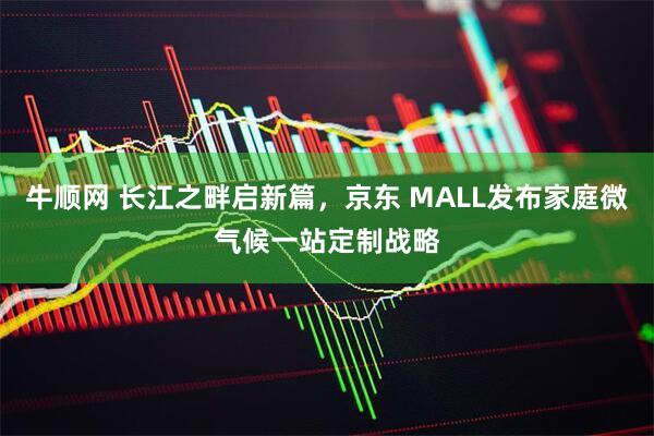 牛顺网 长江之畔启新篇，京东 MALL发布家庭微气候一站定制战略