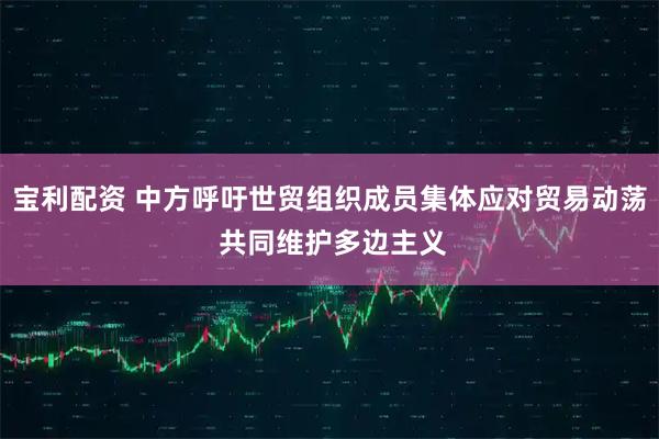 宝利配资 中方呼吁世贸组织成员集体应对贸易动荡 共同维护多边主义