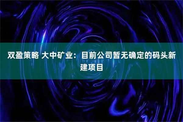 双盈策略 大中矿业：目前公司暂无确定的码头新建项目